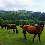 Apartmán Zrebcin Mlyncok Slovenska Lupca