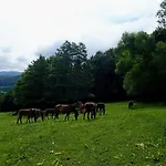 Zrebcin Mlyncok *