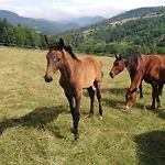 Apartmán Zrebcin Mlyncok