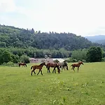 Apartmán Zrebcin Mlyncok