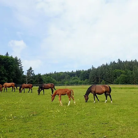 Apartmán Zrebcin Mlyncok