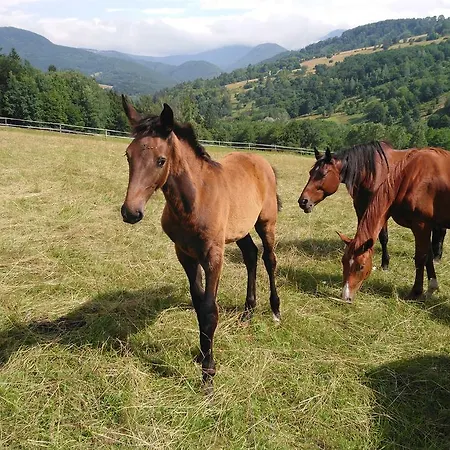 Apartmán Zrebcin Mlyncok