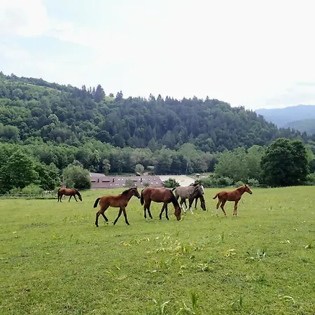 Апартаменты Zrebcin Mlyncok