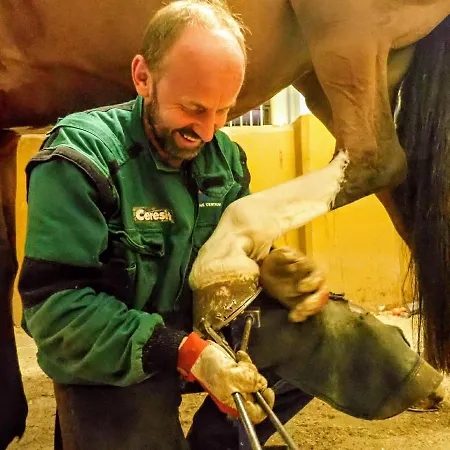 Apartmán Zrebcin Mlyncok