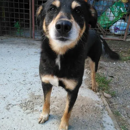 Apartmán Zrebcin Mlyncok