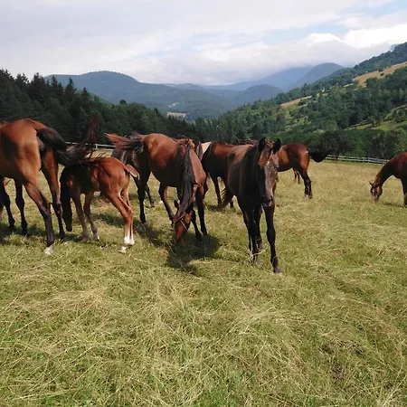 Апартаменты Zrebcin Mlyncok Slovenska Lupca