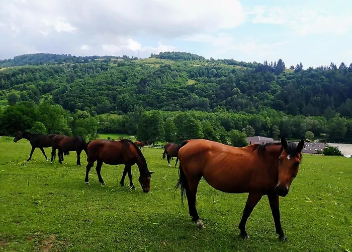 公寓 Zrebcin Mlyncok Slovenska Lupca