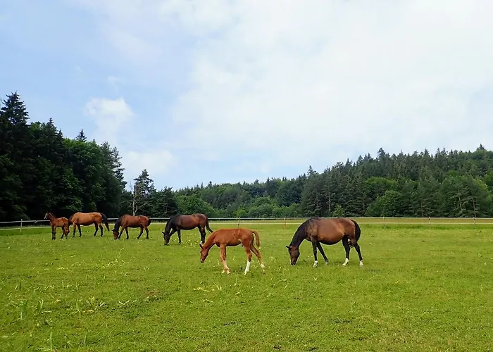 公寓 Zrebcin Mlyncok