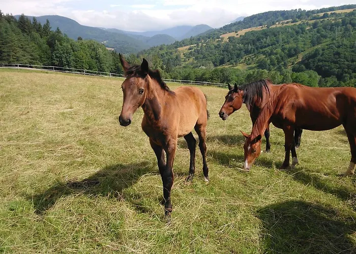 公寓 Zrebcin Mlyncok