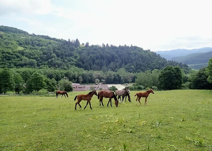 公寓 Zrebcin Mlyncok