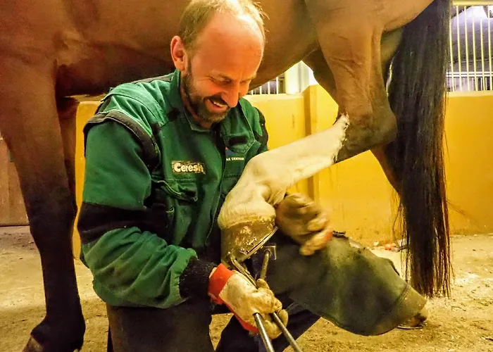 公寓 Zrebcin Mlyncok