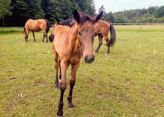 公寓 Zrebcin Mlyncok Slovenska Lupca